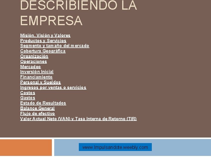 DESCRIBIENDO LA EMPRESA Misión, Visión y Valores Productos y Servicios Segmento y tamaño del