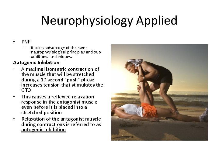 Neurophysiology Applied • PNF – It takes advantage of the same neurophysiological principles and