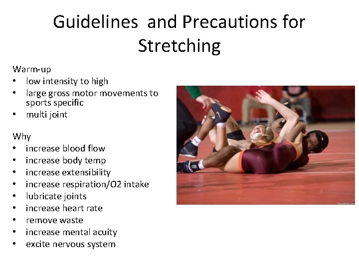 Guidelines and Precautions for Stretching Warm-up • low intensity to high • large gross