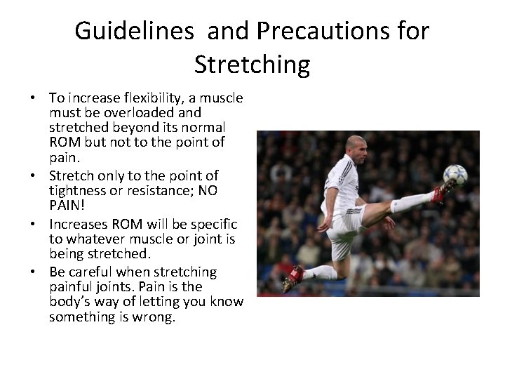 Guidelines and Precautions for Stretching • To increase flexibility, a muscle must be overloaded