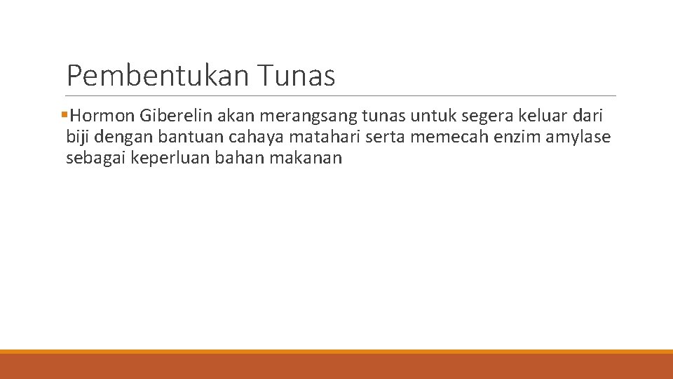 Pembentukan Tunas §Hormon Giberelin akan merangsang tunas untuk segera keluar dari biji dengan bantuan