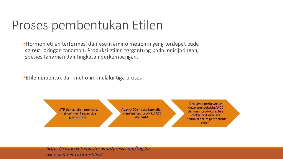 Proses pembentukan Etilen §Hormon etilen terformasi dari asam amino metionin yang terdapat pada semua