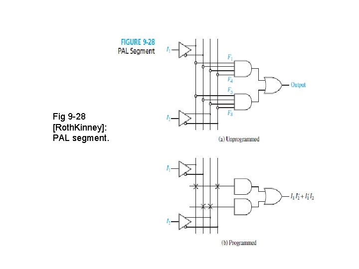 Fig 9 -28 [Roth. Kinney]: PAL segment. 