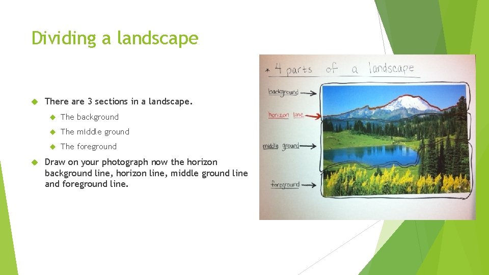 Dividing a landscape There are 3 sections in a landscape. The background The middle