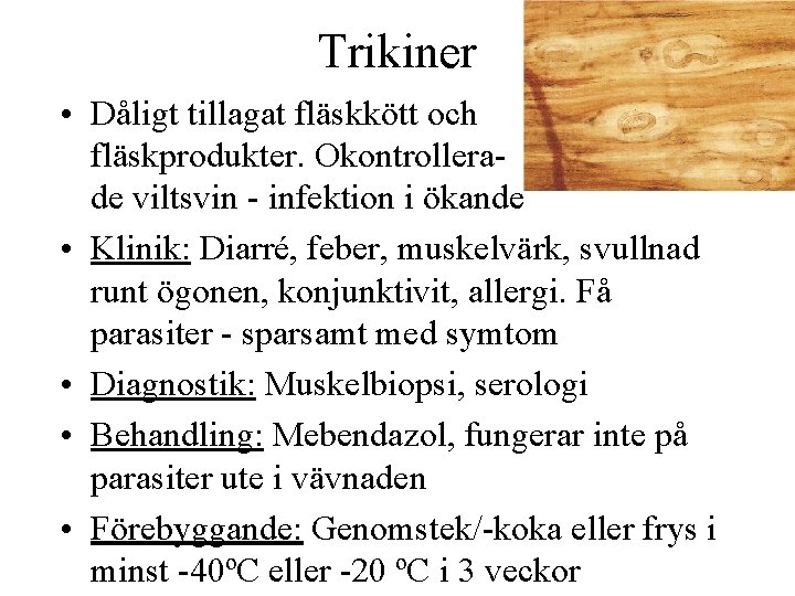 Trikiner • Dåligt tillagat fläskkött och fläskprodukter. Okontrollerade viltsvin - infektion i ökande •