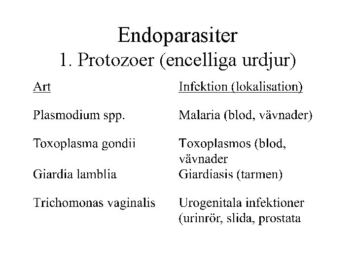 Endoparasiter 1. Protozoer (encelliga urdjur) 