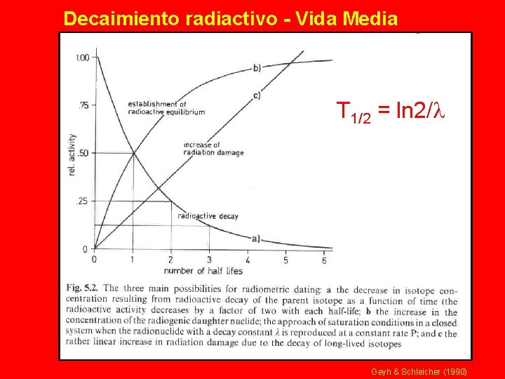 Decaimiento radiactivo - Vida Media T 1/2 = ln 2/l Geyh & Schleicher (1990)