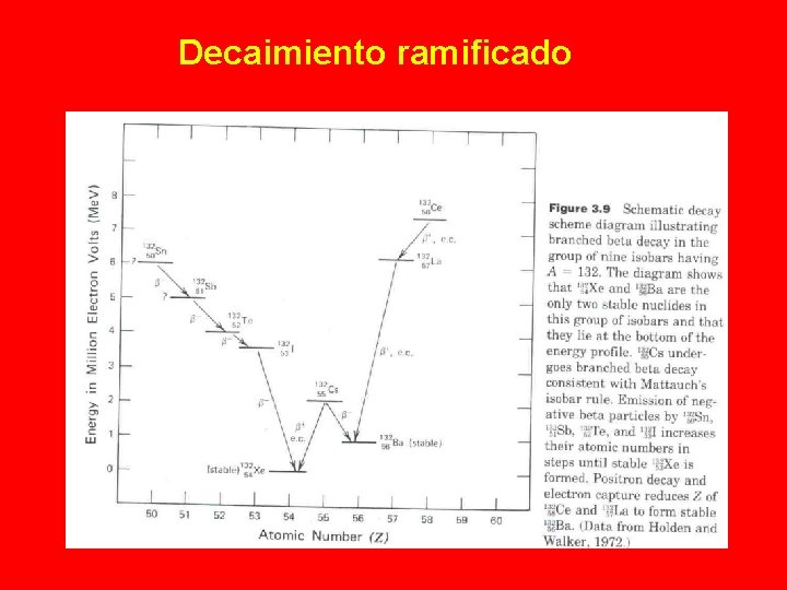 Decaimiento ramificado 