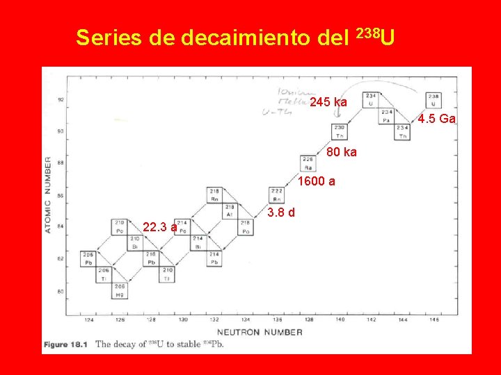 Series de decaimiento del 238 U 245 ka 4. 5 Ga 80 ka 1600