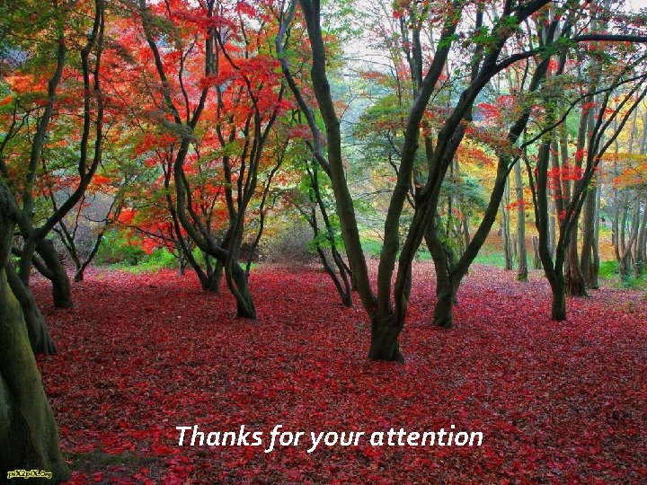 Thanks for your attention 