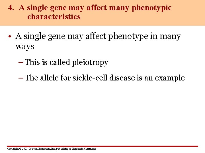 4. A single gene may affect many phenotypic characteristics • A single gene may