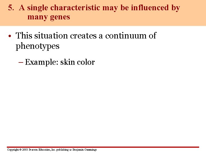 5. A single characteristic may be influenced by many genes • This situation creates