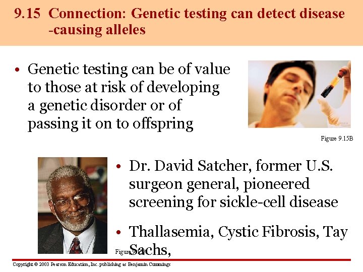 9. 15 Connection: Genetic testing can detect disease -causing alleles • Genetic testing can