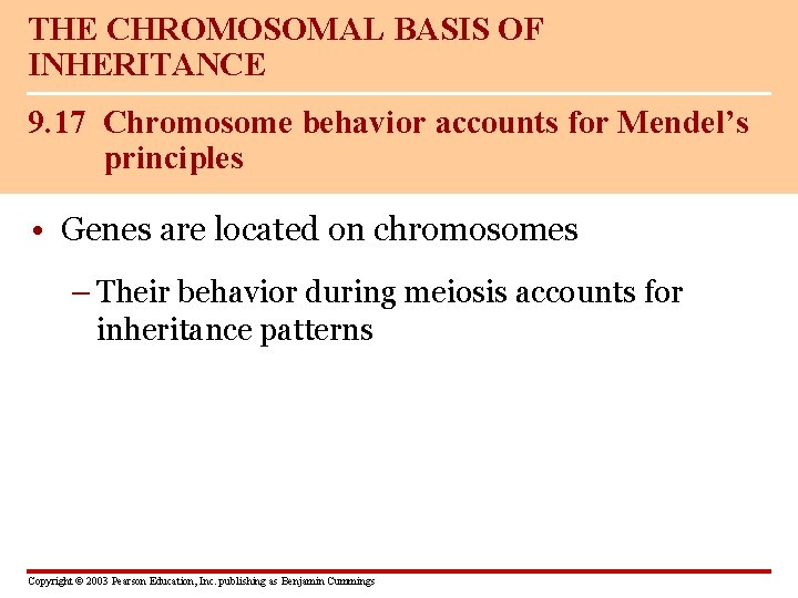 THE CHROMOSOMAL BASIS OF INHERITANCE 9. 17 Chromosome behavior accounts for Mendel’s principles •