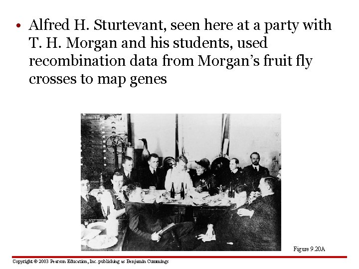  • Alfred H. Sturtevant, seen here at a party with T. H. Morgan