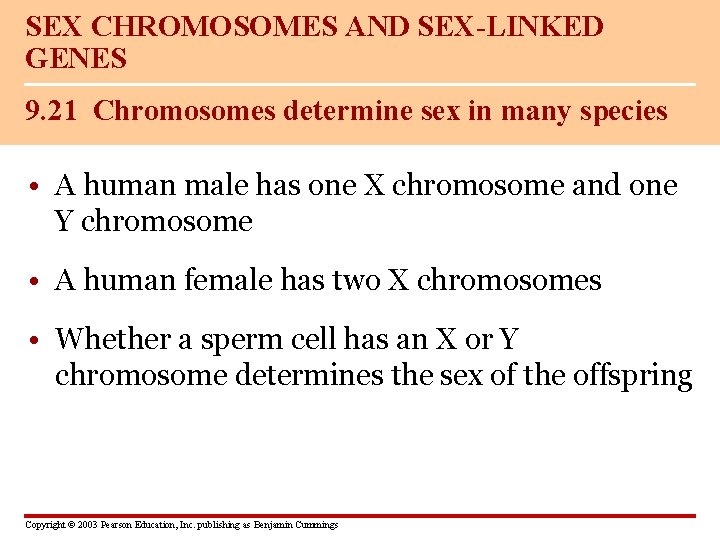 SEX CHROMOSOMES AND SEX-LINKED GENES 9. 21 Chromosomes determine sex in many species •