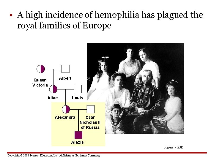  • A high incidence of hemophilia has plagued the royal families of Europe