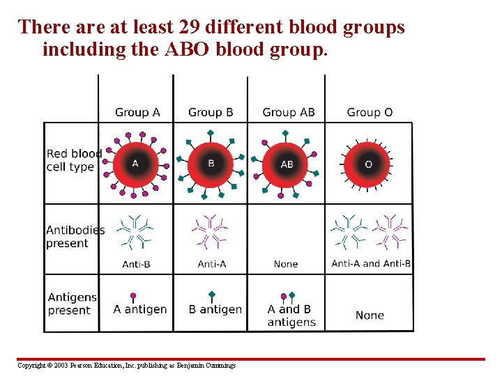 There at least 29 different blood groups including the ABO blood group. Copyright ©