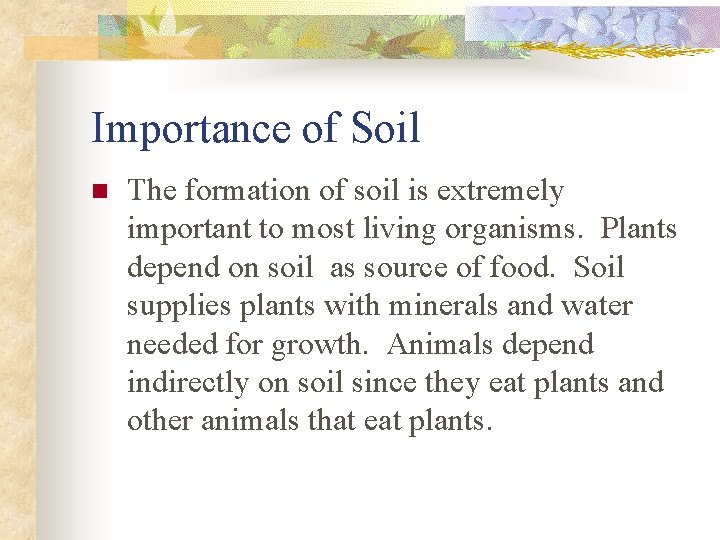 Importance of Soil n The formation of soil is extremely important to most living