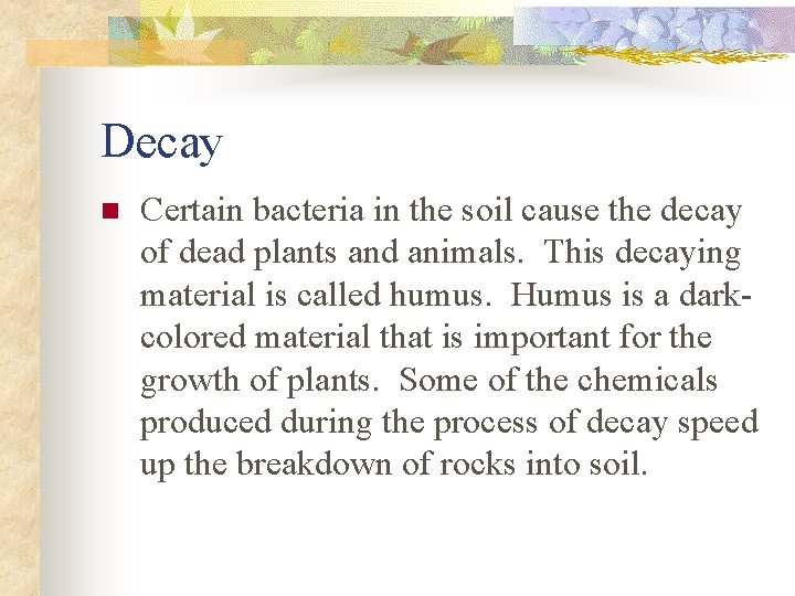 Decay n Certain bacteria in the soil cause the decay of dead plants and
