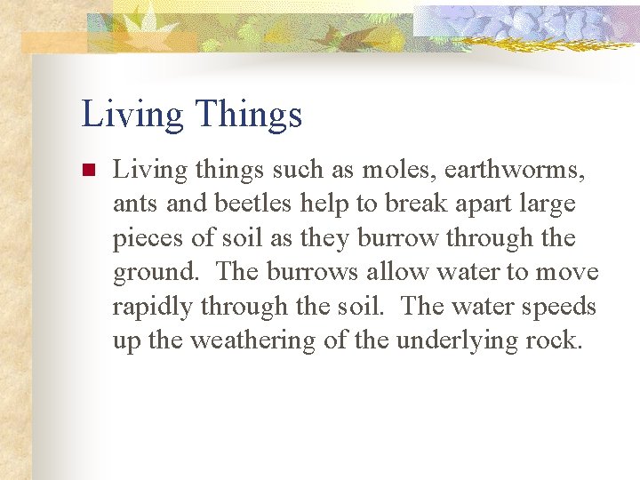 Living Things n Living things such as moles, earthworms, ants and beetles help to