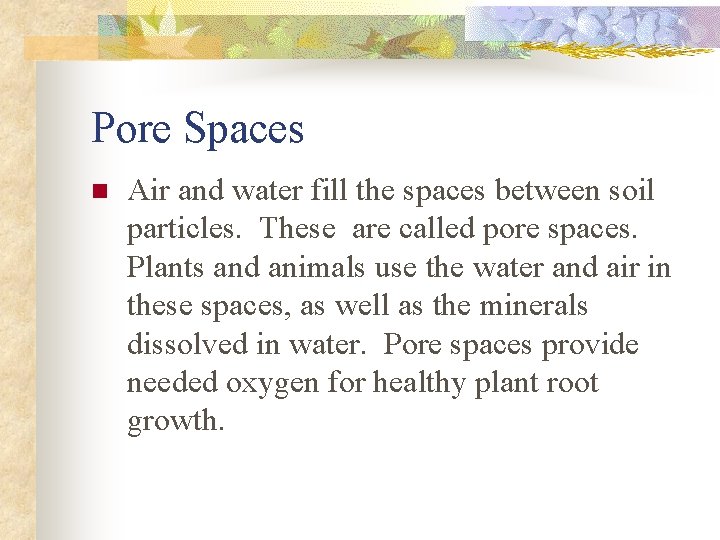 Pore Spaces n Air and water fill the spaces between soil particles. These are