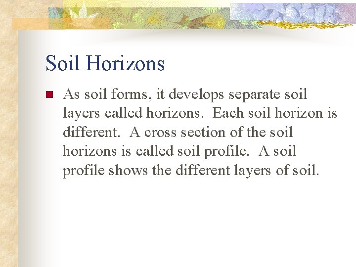 Soil Horizons n As soil forms, it develops separate soil layers called horizons. Each