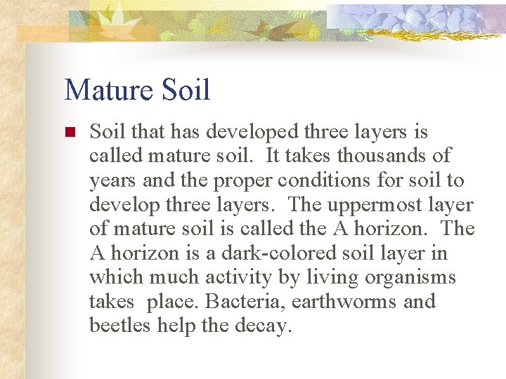 Mature Soil n Soil that has developed three layers is called mature soil. It