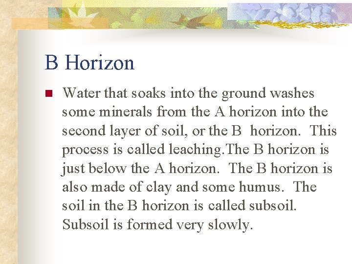 B Horizon n Water that soaks into the ground washes some minerals from the