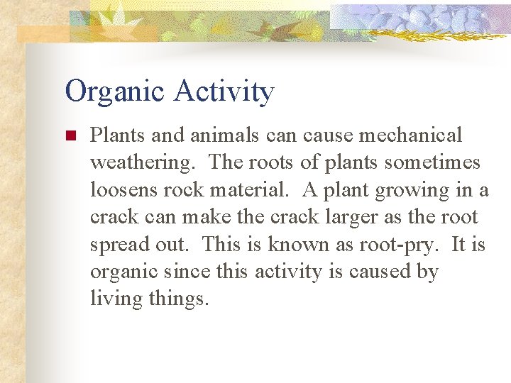 Organic Activity n Plants and animals can cause mechanical weathering. The roots of plants