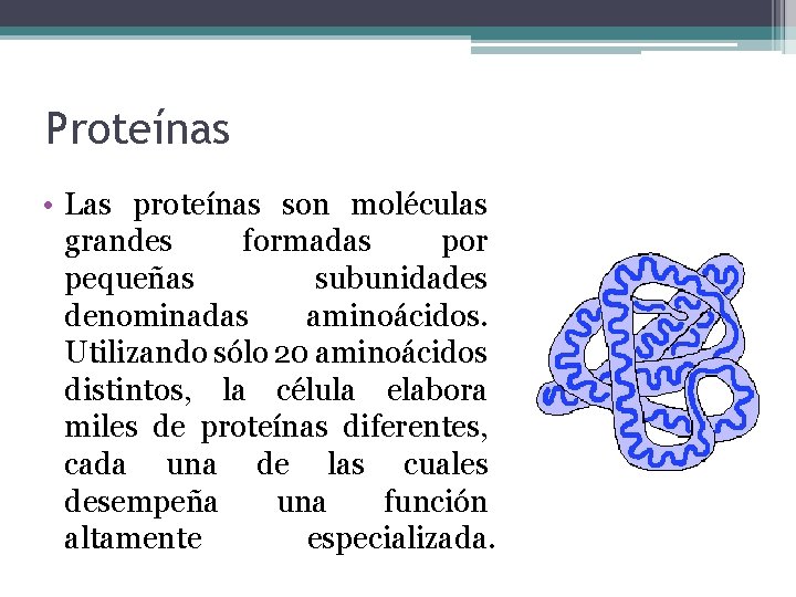 Proteínas • Las proteínas son moléculas grandes formadas por pequeñas subunidades denominadas aminoácidos. Utilizando