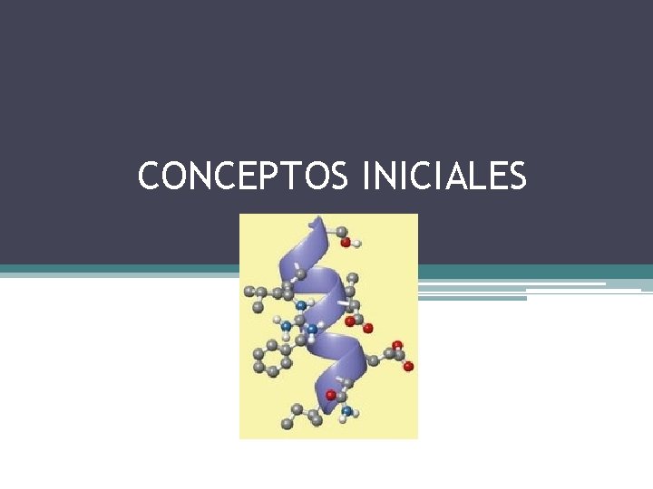 CONCEPTOS INICIALES 