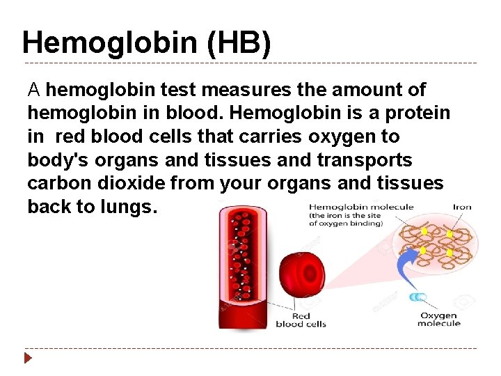 Hemoglobin (HB) A hemoglobin test measures the amount of hemoglobin in blood. Hemoglobin is