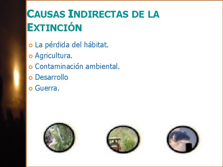 CAUSAS INDIRECTAS DE LA EXTINCIÓN La pérdida del hábitat. Agricultura. Contaminación ambiental. Desarrollo Guerra.