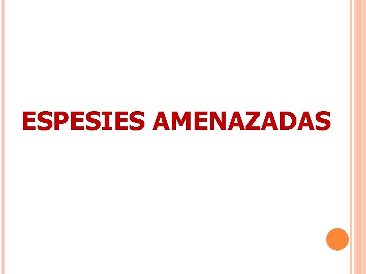 ESPESIES AMENAZADAS 