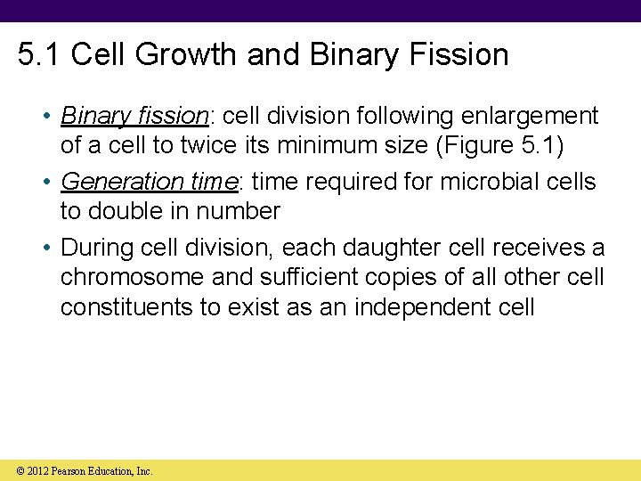 5. 1 Cell Growth and Binary Fission • Binary fission: cell division following enlargement