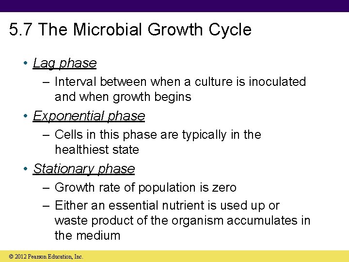 5. 7 The Microbial Growth Cycle • Lag phase – Interval between when a