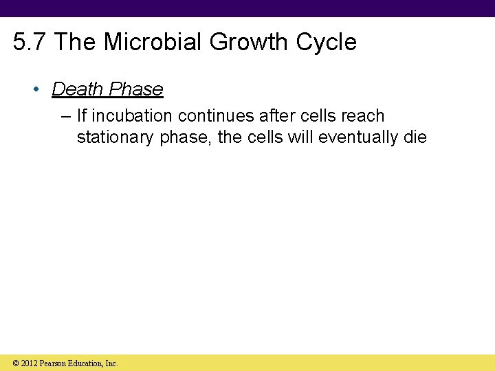 5. 7 The Microbial Growth Cycle • Death Phase – If incubation continues after