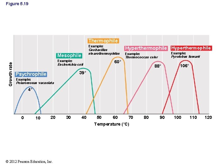 Figure 5. 19 Thermophile Example: Geobacillus stearothermophilus Growth rate Mesophile Example: Escherichia coli Hyperthermophile