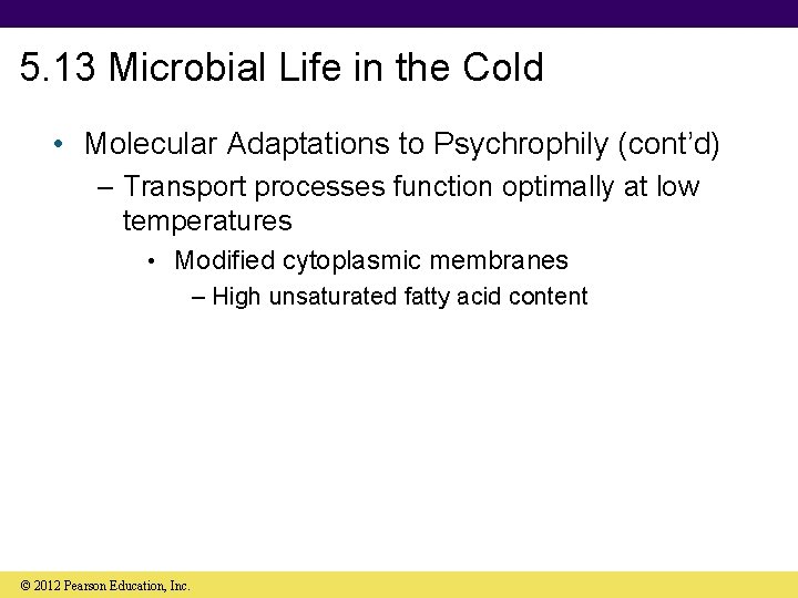 5. 13 Microbial Life in the Cold • Molecular Adaptations to Psychrophily (cont’d) –
