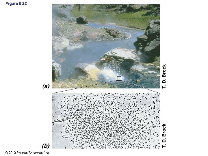Figure 5. 22 © 2012 Pearson Education, Inc. 