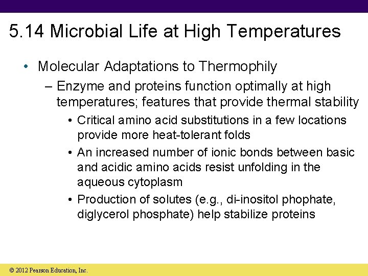5. 14 Microbial Life at High Temperatures • Molecular Adaptations to Thermophily – Enzyme
