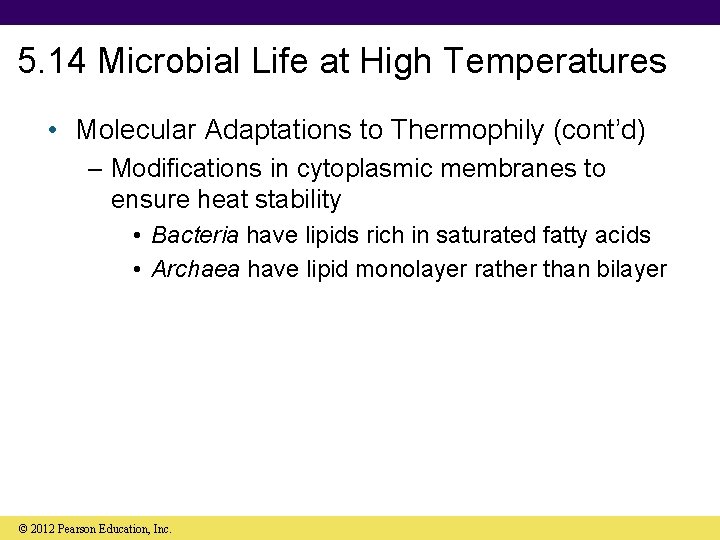 5. 14 Microbial Life at High Temperatures • Molecular Adaptations to Thermophily (cont’d) –