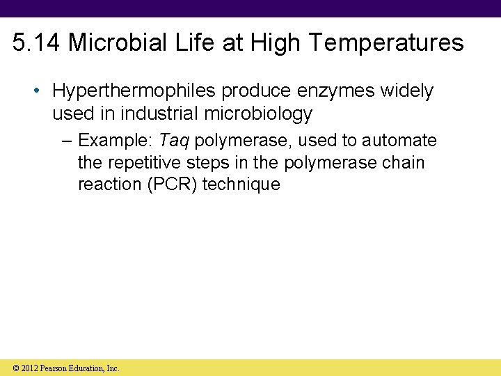 5. 14 Microbial Life at High Temperatures • Hyperthermophiles produce enzymes widely used in