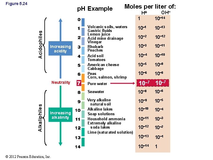 Figure 5. 24 Acidophiles p. H Example Increasing acidity Alkaliphiles Neutrality Increasing alkalinity ©