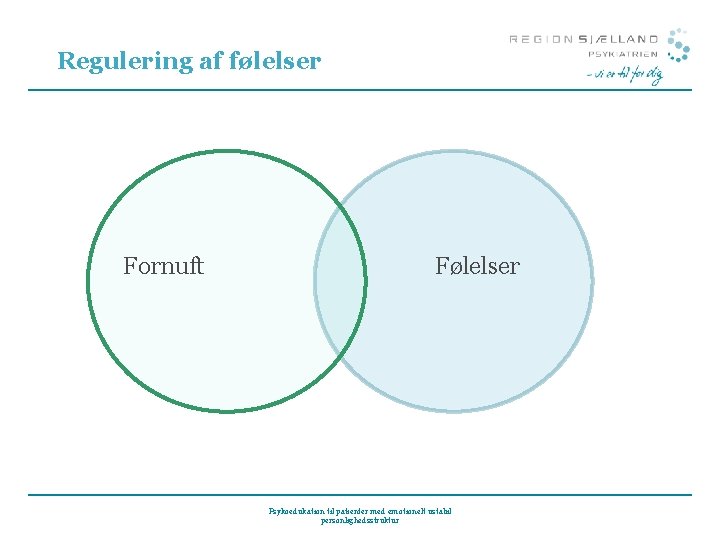 Regulering af følelser Fornuft Følelser Psykoedukation til patienter med emotionelt ustabil personlighedsstruktur 
