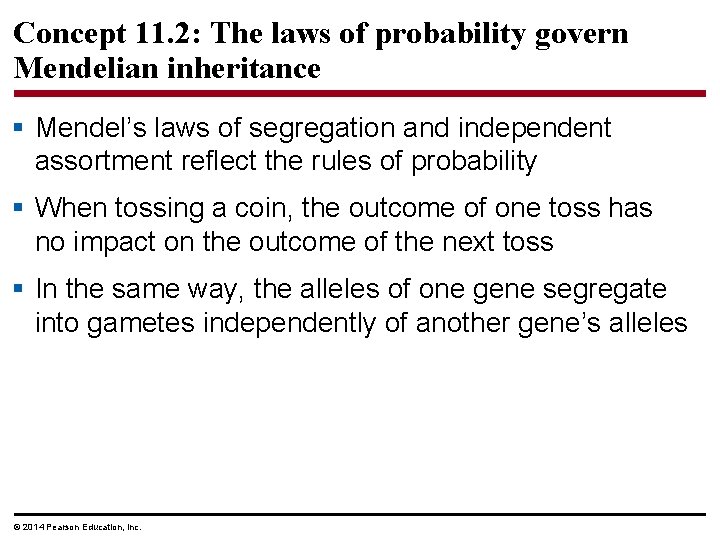 Concept 11. 2: The laws of probability govern Mendelian inheritance § Mendel’s laws of