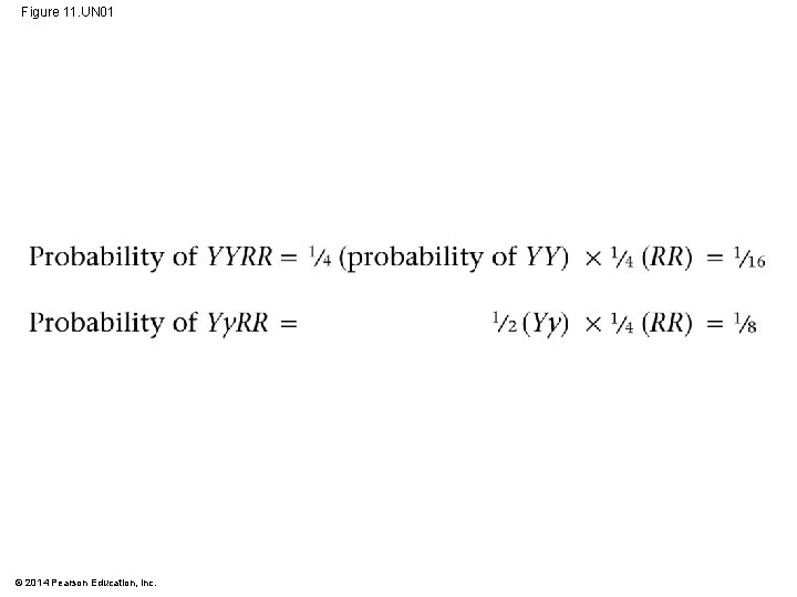 Figure 11. UN 01 © 2014 Pearson Education, Inc. 