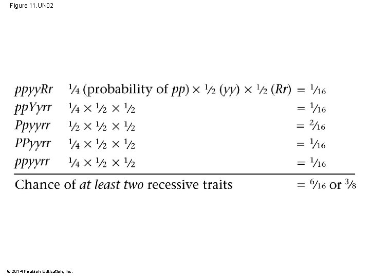 Figure 11. UN 02 © 2014 Pearson Education, Inc. 