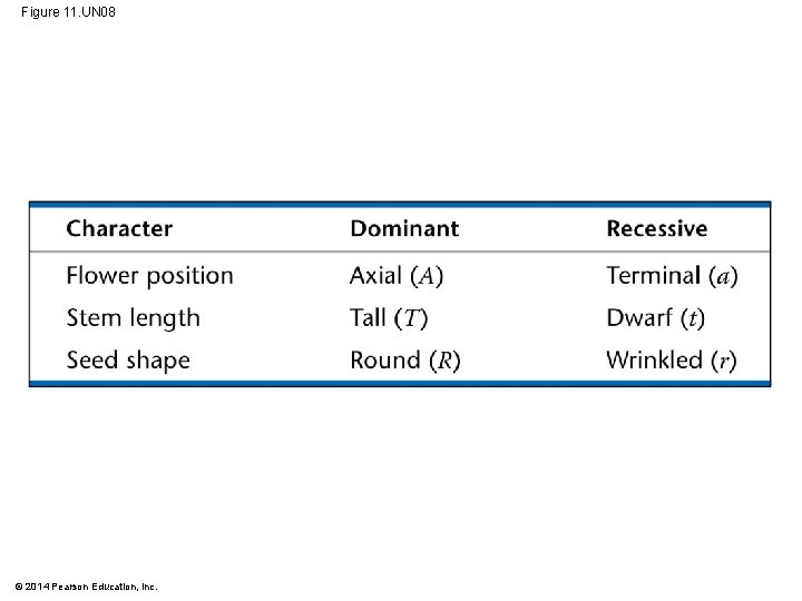 Figure 11. UN 08 © 2014 Pearson Education, Inc. 